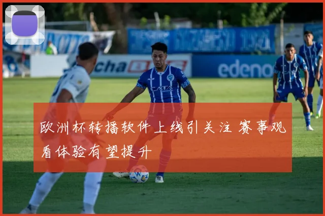 欧洲杯转播软件上线引关注 赛事观看体验有望提升